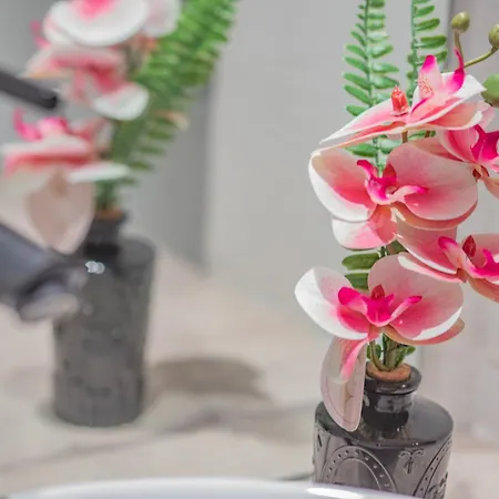 Les Cocons De Apartmán *