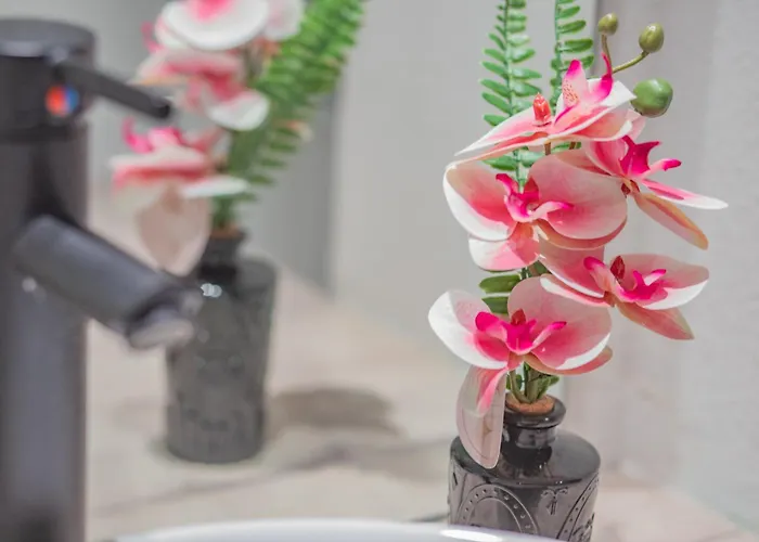 Les Cocons De شقة *