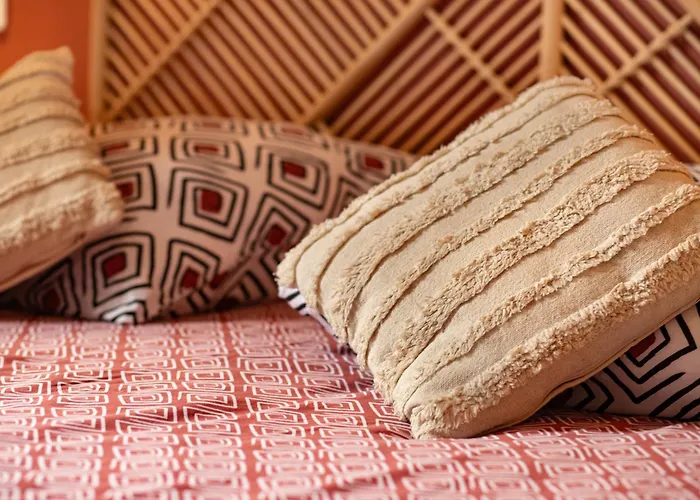 Les Cocons De 卢德